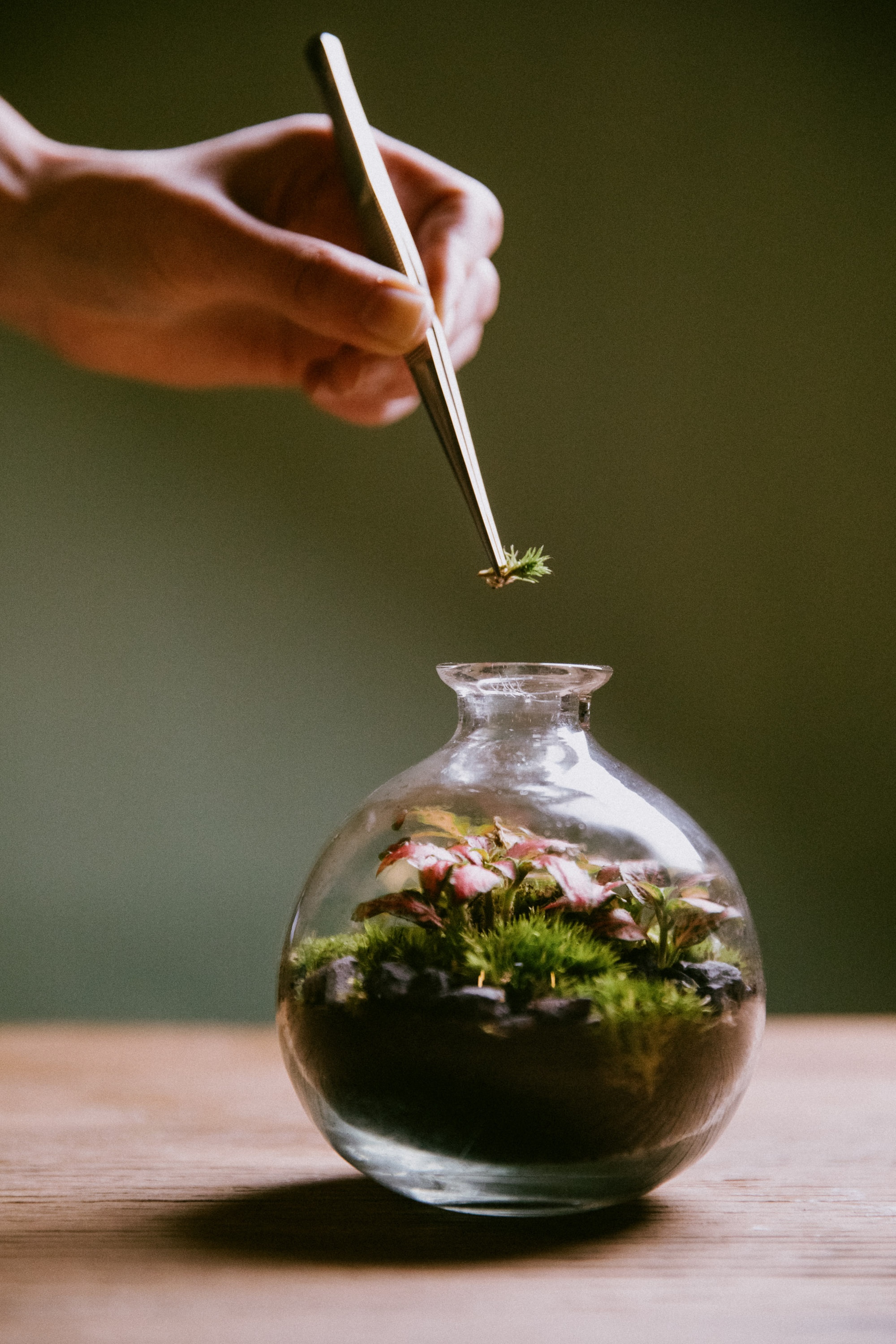 Six_Senses_Place_London_Terrarium_Planting.jpg