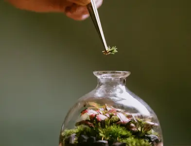 Six_Senses_Place_London_Terrarium_Planting.jpg