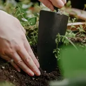 Six_Senses_Place_London_Gardening