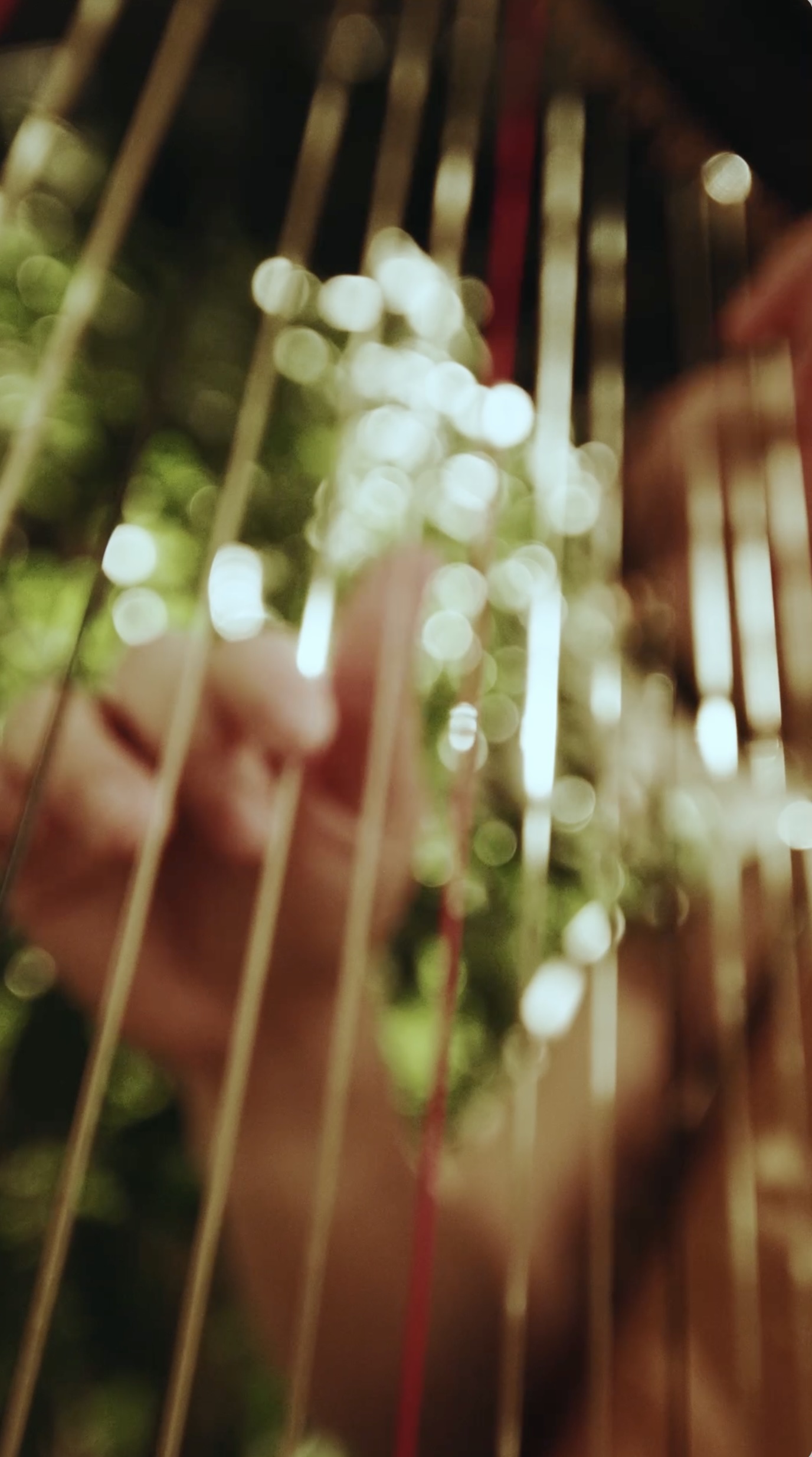 Six_Senses_Place_London_Harp