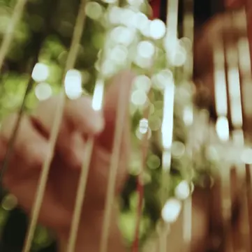 Six_Senses_Place_London_Harp