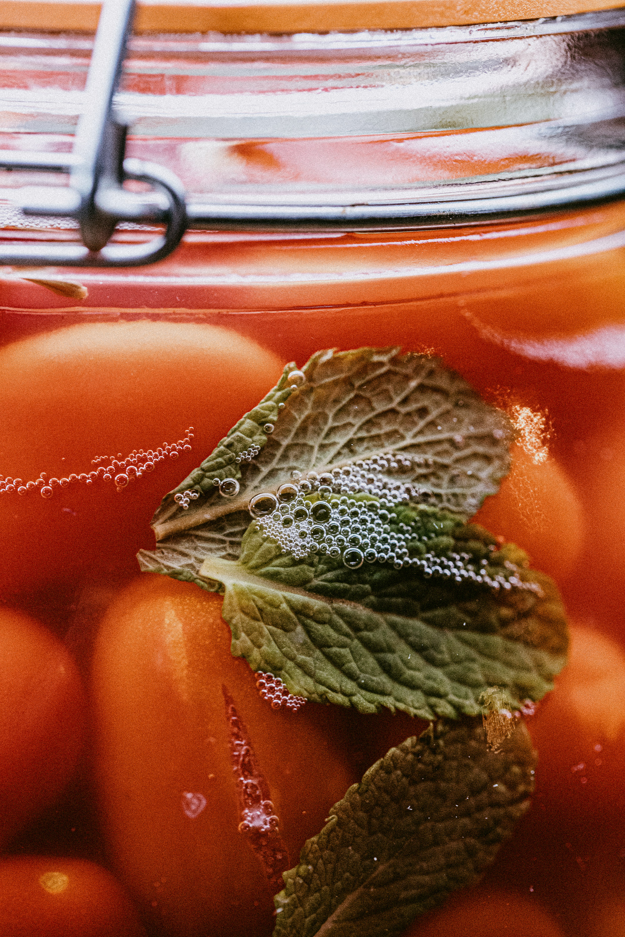 Six_Senses_Place_London_Jar