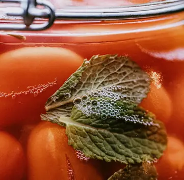 Six_Senses_Place_London_Jar