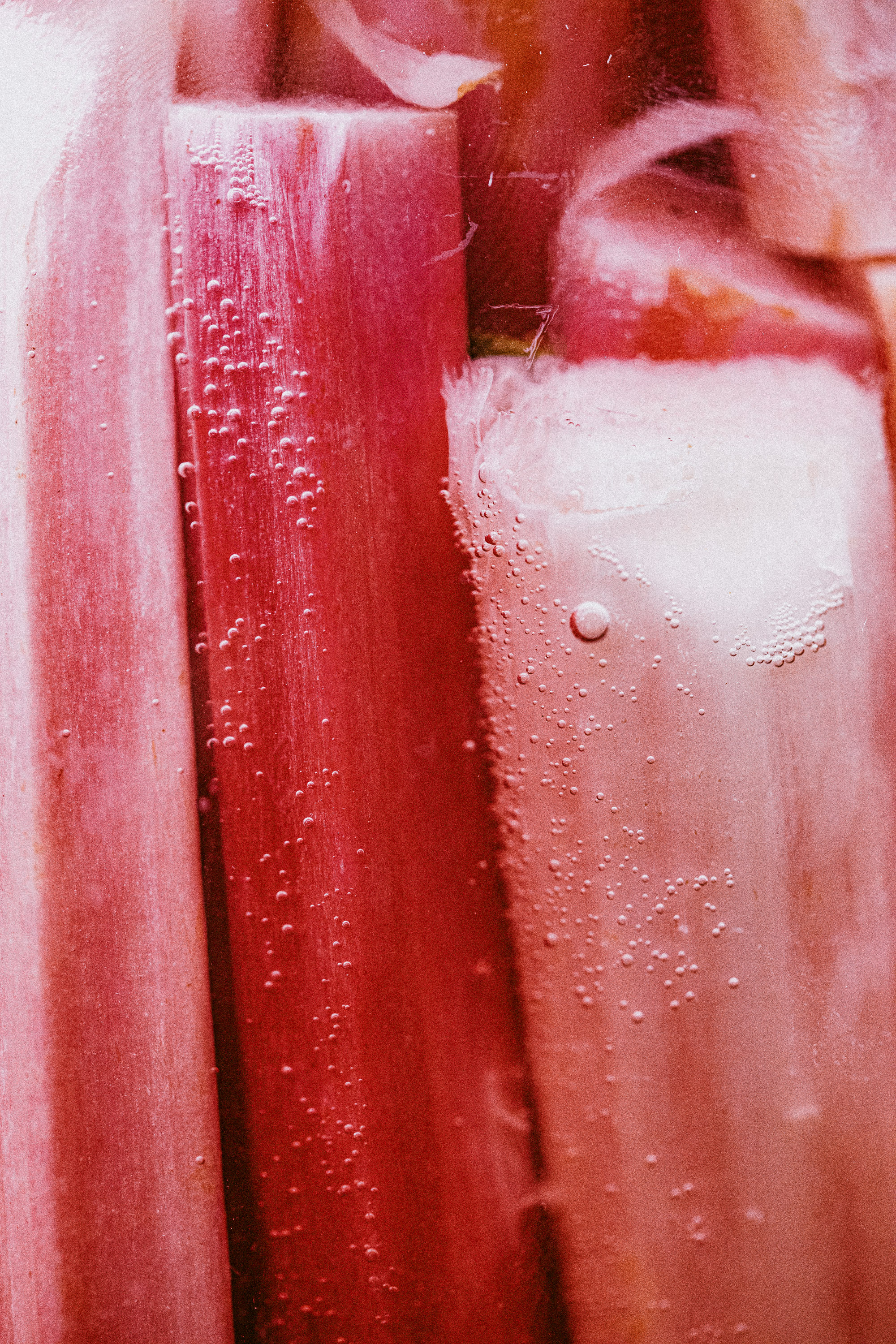 Six_Senses_Place_London_Fermentation4.jpg