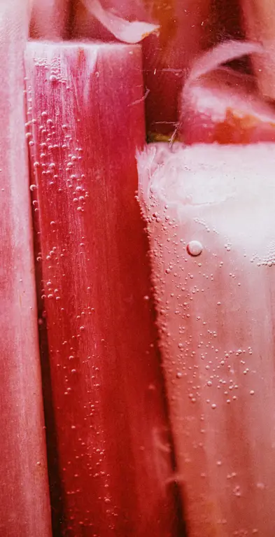 Six_Senses_Place_London_Fermentation4.jpg
