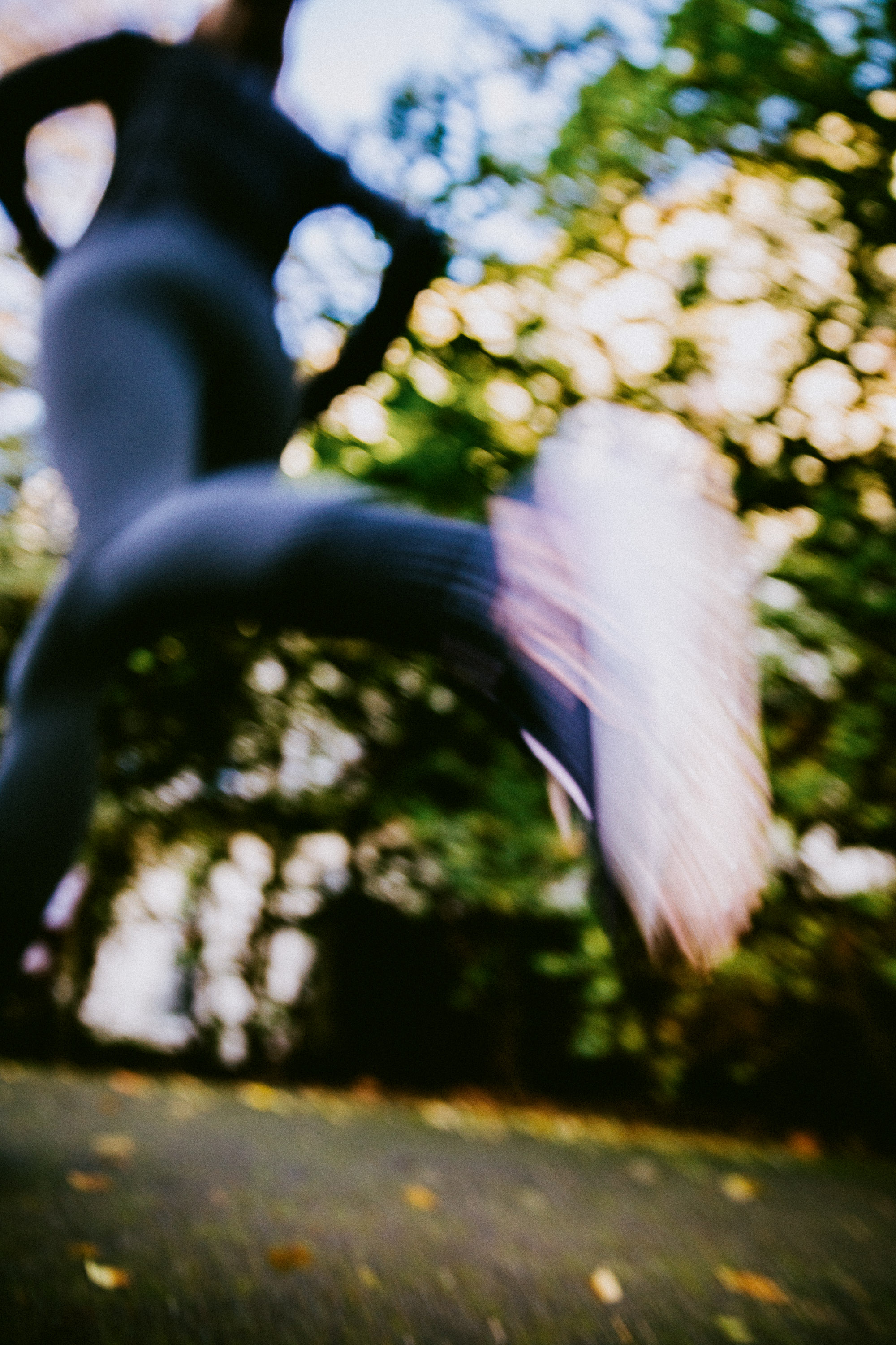 Six_Senses_Place_London_Morning_Run